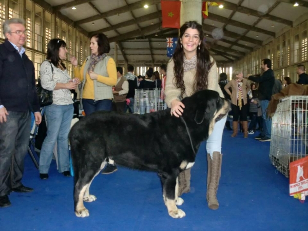 Timon -  EXPOSICION INTERNACIONAL JEREZ 2012
Keywords: 2012 abucacito