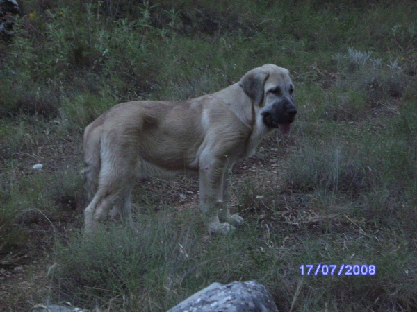 LUNA CON 3 MESES
