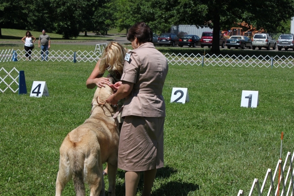 Garden State Classic-KC-USA Dog Show  June 2-3 2012
Keywords: 2012 norma pacino tatyana niro brando