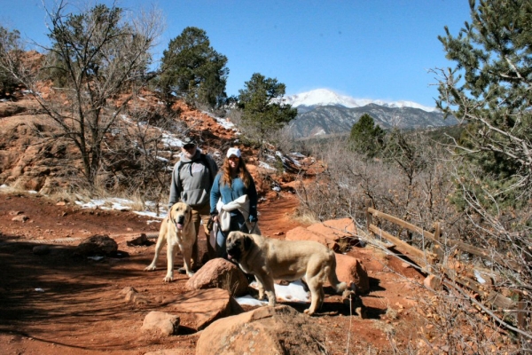 Abuelo, Edna, Leon, Gitna
Garden of the Gods

Colorado Springs Colorado
Keywords: moreno