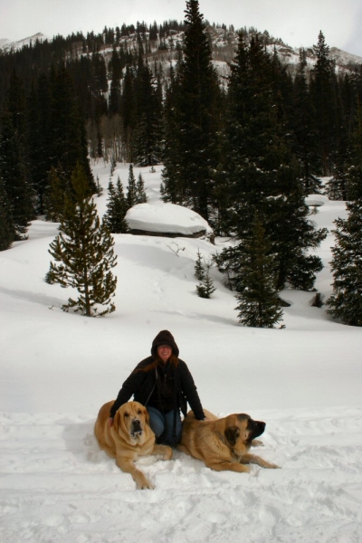 Independence Pass Snowed over - Mom, Leon and Gitana
Romulo de Campollano (Leon) and Bandera de Campollano (Gitana)

Keywords: moreno