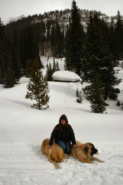 Independence Pass Snowed over - Mom, Leon and Gitana
Romulo de Campollano (Leon) and Bandera de Campollano (Gitana)

Keywords: moreno