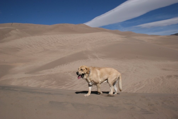 Great Sand Dunes Natioonal Park
Keywords: moreno