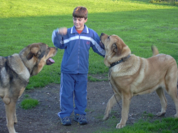 Ramón con sus perros
Keywords: basillon