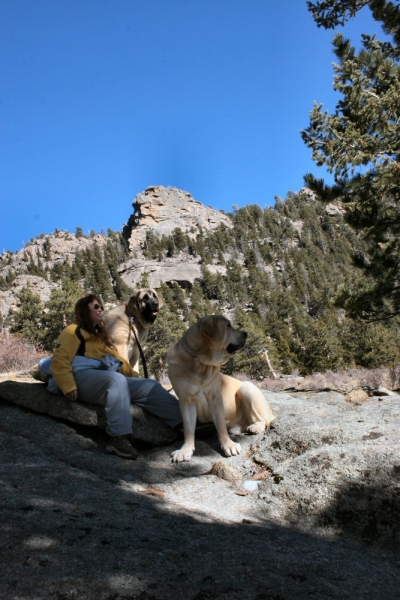 The Mountains - Uhm was that an Elk
Romulo de Campollano (Leon) and Bandera de Campollano (Gitana).

Keywords: moreno