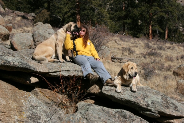 McGregor Lodge, Estes Park Colorado - Enjoying the Sun
Romulo de Campollano (Leon) and Bandera de Campollano (Gitana).

Keywords: moreno