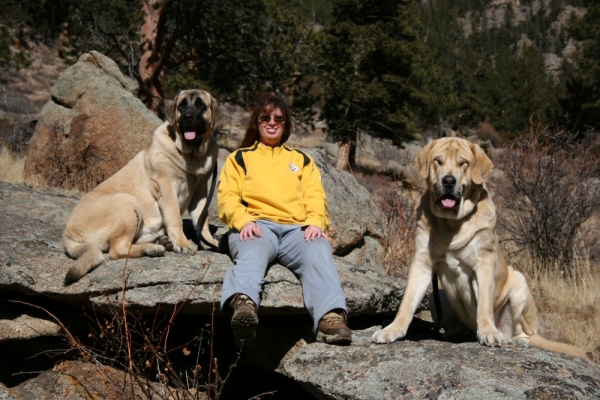 Mom and Puppies walking in the mountains
I Love Leons face, he has some very interesting and humorous expresions...

Romulo de Campollano (Leon) and Bandera de Campollano (Gitana).

Keywords: moreno