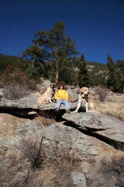 Mom and Puppies walking in the mountains
Romulo de Campollano (Leon) and Bandera de Campollano (Gitana).

Keywords: moreno