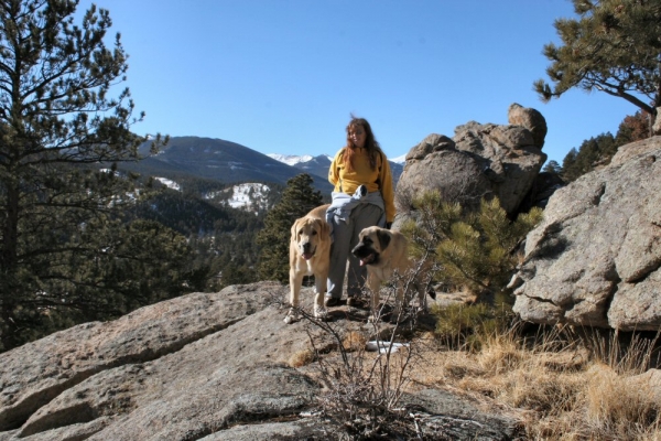 Mom and Puppies walking in the mountains - mountains in the background are at 12,000 foot elevation
Romulo de Campollano (Leon) and Bandera de Campollano (Gitana).

Keywords: moreno