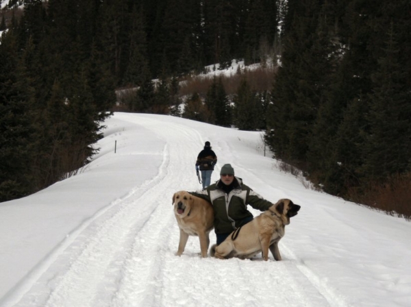 Gitana y Leon, W/ Mom, y Abuelo
Independence Pass New Years Day
Keywords: moreno