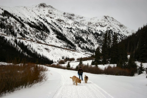 Gitana y Leon, W/ Mom
Independence Pass New Years Day
Keywords: moreno