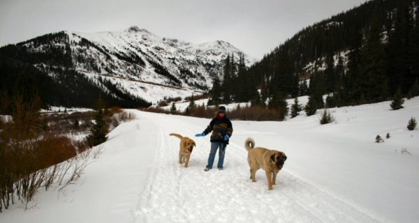 Gitana y Leon, W/ Mom
Independence Pass New Years Day
Keywords: moreno