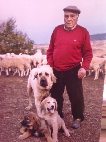 Gonzalo de Fuente Llorente
Ganadero de la Montaña Palentina. Nacido en Celada de Roblecedo pero con residencia en Aguilar de Campoo (Palencia)
Keywords: Gonzalo