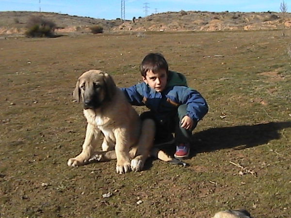 Jara de Los Altos del Duero y Mario
Keywords: kids duero