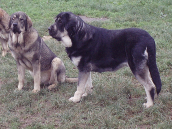 Lola y Lupe de Anaise
Keywords: anaise