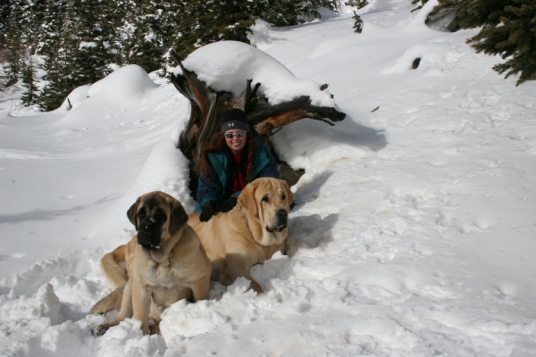 Loveland Pass
Mom and the kids enjoyed getting in snow over 4 foot deep for this Picture
Keywords: moreno snow nieve