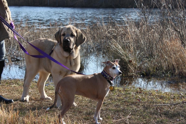 Tayana and Natalia 12-22-2011
Turkey Swamp Park  New Jersey U.S.A.
Keywords: norma pacino tatyana deniro brando