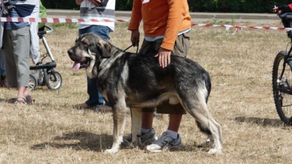 ONEGA DE CAMPOLLANO
COMPETING IN CERVERA DE PISUERGA 
4 EXC 
Keywords: mastalaya / Onega de Campollano