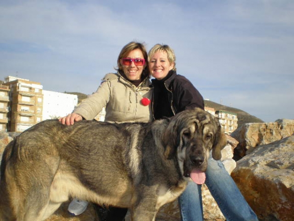 Onega de Campollano (Milo)
Milo con 10 meses y medio en la playa conmigo y mi amiga Laura.
Milo ten and a half months at the beach with me and my friend Laura

Keywords: mastalaya