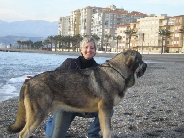 Onega de Campollano (Milo)
Milo y yo en la playa.
Me and Milo at the beach. 
Keywords: mastalaya