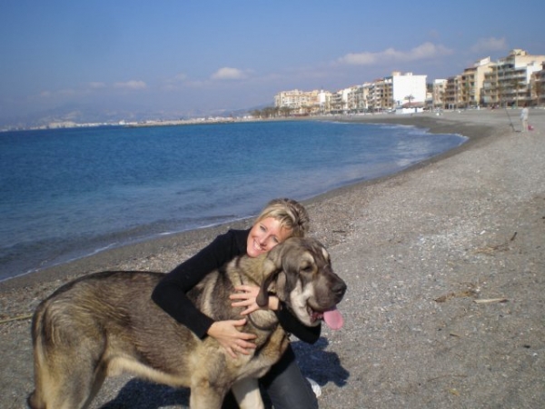 ONEGA DE CAMPOLLANO NUESTRO MILO
MILO Y YO EN LA PLAYA, AT THE BEACH, MILO WHEN HE WAS 12 MONTHS, CUANDO TENIA  12 MESES 
Keywords: mastalaya