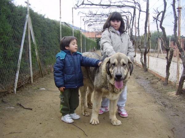 Nerea, Alberto y Neron con 8 meses hijo de Tarquin 
Keywords: alneyo