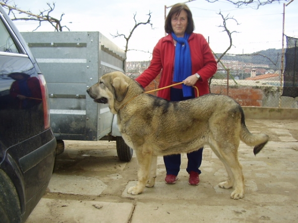 Mi Tia Charo y Neron con 8 meses hijo de Tarquin 6-3-2011
Keywords: alneyo