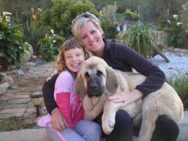 NUBE (NOMBRE DE PEDIGREE-LINDA) PADRES.. CAIN DE CAMPOLLANO X JOYA TORNADO ERBEN.
Nube 4 months old with me and Natalie in the garden, still baby enough to sit on my lap!
Nube con 4 meses conmigo y Natalie en el jardin, todo via bastante pequeña estar en brazos!
Keywords: mastalaya