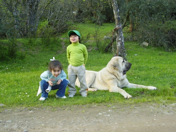 Nerea, Raul y Tarquin de Galisancho
Keywords: alneyo