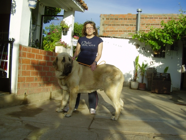 Yoli y Tarquin de Galisancho 16-05-2009
Pollero x Braña de Galisancho
Born: 05.12.2005

Keywords: alneyo