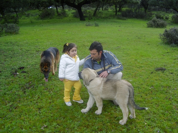 Raul, Nerea, Bardo y Tarquin de Galisancho
Keywords: alneyo