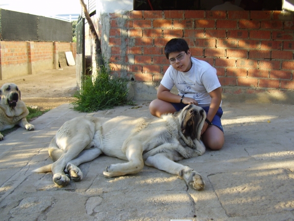 Angelete y Tarquin de Galisancho
Keywords: alneyo