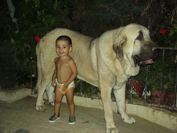 Alberto y Tarquin de Galisancho
Keywords: kids alneyo