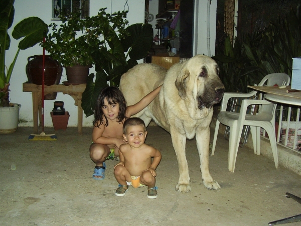 Nerea,  Alberto y Tarquin de Galisancho como hermanos
Keywords: alneyo