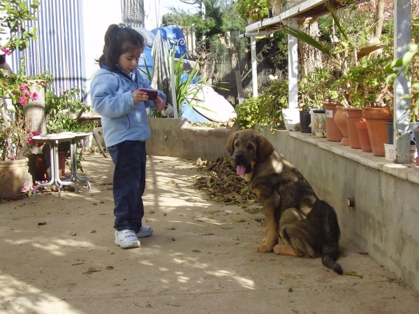 Nerea y Nala 2 meses
Keywords: alneyo