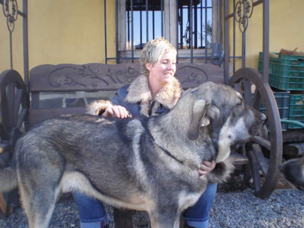 Onega de Campollano (MILO) 
Milo ten months old, with me.
Milo con diez meses conmigo. 
Keywords: mastalaya