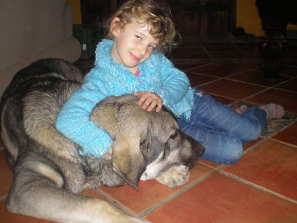 Onega de Campollano (MILO)
Natalie y Milo relajando en nuestro salon.
Natalie and Milo relaxing in our lounge.
Keywords: mastalaya