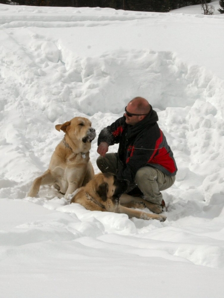 Independence Pass Snowed over - Papa, Leon and Gitana
Another Leon Face...
Keywords: moreno