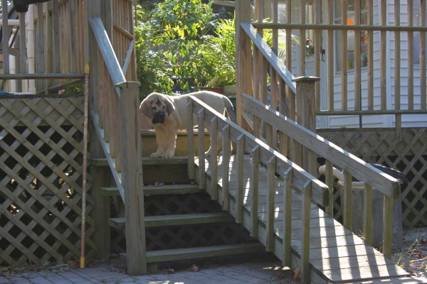 Tatyana deciding whether to go up or down 10-16-11
Keywords: norma pacino tatyana niro brando