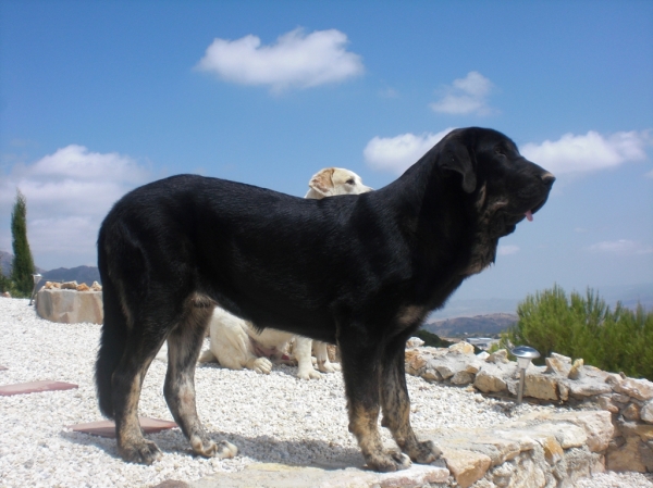 Tom de Anaise 7 meses
Keywords: anaise