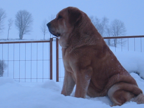 Historia Tornado Erben
Keywords: confundo snow nieve