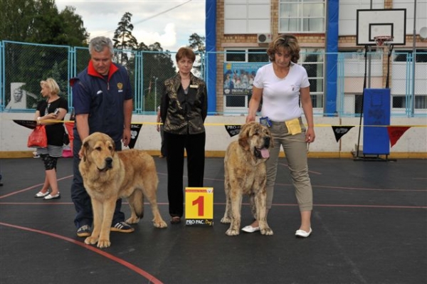 Best junior male and Best junior female, The Cup of Pro Pac 2009, Noginsk, 07.06.09 
Keywords: 2009