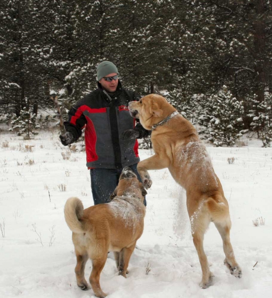 Wilkerson Pass - Bandera de Campollano (Gitana) & Romulo de Campollano (Leon) 
Keywords: snow nieve moreno