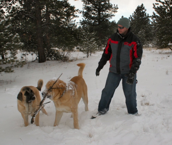 Wilkerson Pass - a day playing in the snow
Keywords: moreno snow nieve