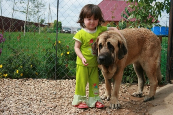 Zhuzha  Sinko Zemplina with the child
Keywords: cortedemadrid