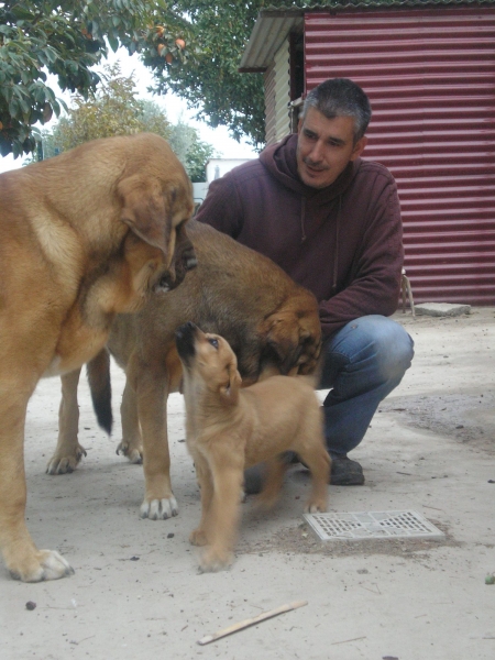 Elma de Alneyo
Tanto Aragon como Diana la han adoptado como su hija.
Keywords: LEONVERA