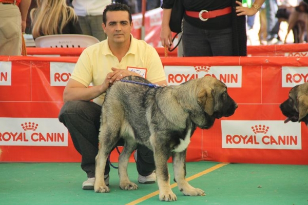 BACHATA DE LA GORGORACHA 2ª CACHORRA EN ARCHIDONA 2009
Keywords: 2009 gorgoracha