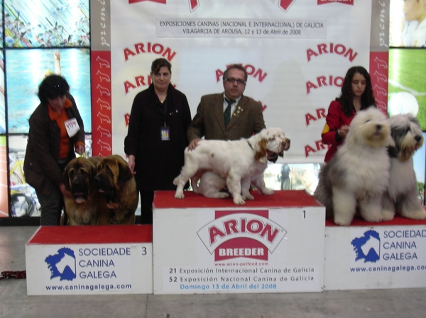 Mastines de Basillon, clasificado 3º clase parejas, Villagarcía 2008
Keywords: 2008 basillon concurso