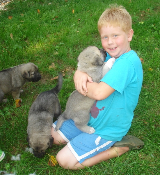 A very happy boy!
My neighbors grandson visiting puppies
Keywords: kids jordan