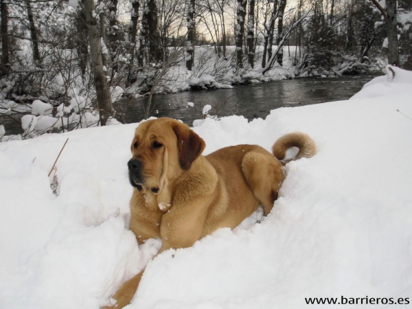 Inka de Barrieros
Keywords: barrieros snow nieve